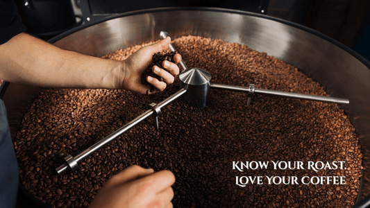 Coffee Roast Guide: Light, Medium, and Dark Roast Explained - Dan’s Daily Grind