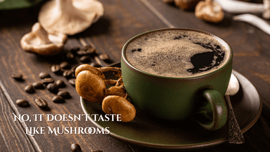 Mushroom Coffee: What It Is, How It Tastes, and Why It Works - Dan’s Daily Grind