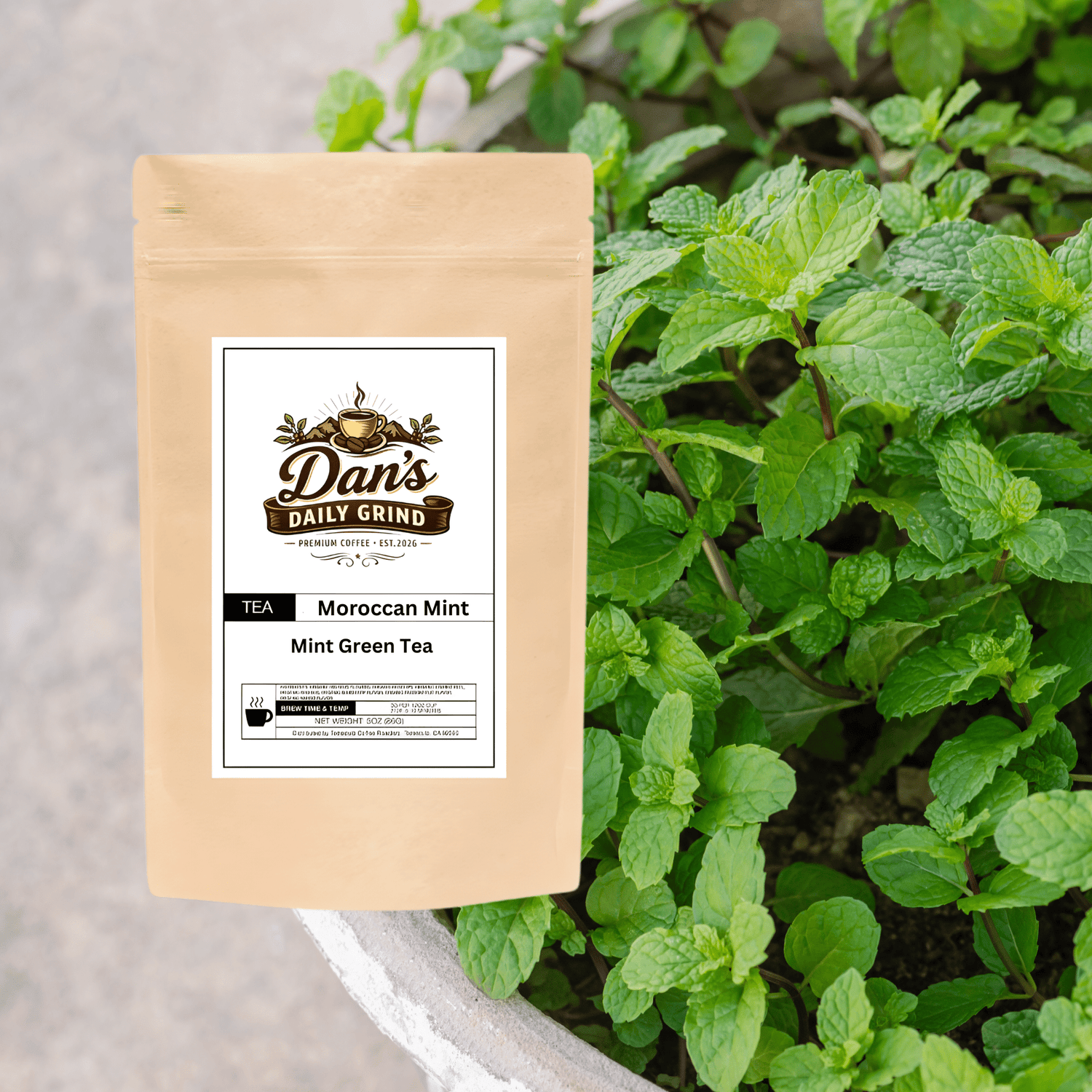 Moroccan Mint - Dan’s Daily Grind